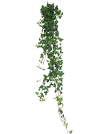 La planta colgante artificial Ivy Boston 180 cm verde tiene hojas largas y colgantes en forma de corazón en color verde que destacan maravillosamente sobre un fondo blanco.