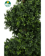 El Boj Artificial Espiral Estilo Romano UV 120cm tiene un follaje verde artificial denso y exuberante con hojas pequeñas y un símbolo de resistencia a los rayos UV con un icono de sol en la esquina superior izquierda.