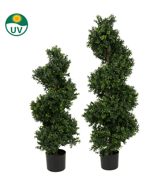 Dos árboles topiarios artificiales de boj en espiral estilo romano UV de 120 cm en macetas negras están uno al lado del otro, con un pequeño icono de protección UV verde y amarillo en la esquina superior izquierda de la imagen.