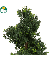 Detalle del Boj Artificial Espiral estilo Romano UV 90cm, con hojas densas y de color verde brillante y tronco marrón. Un símbolo UV en la parte superior izquierda enfatiza la protección UV. El fondo es completamente blanco.