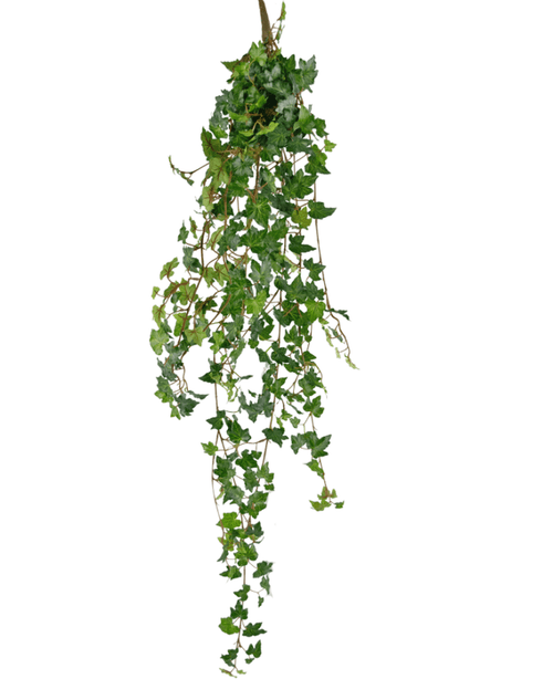 La planta colgante artificial Ivy deluxe 120 cm verde tiene hojas verdes puntiagudas y tallos colgantes que la asemejan a una planta de hiedra colgante. La hiedra artificial está aislada sobre un fondo blanco.