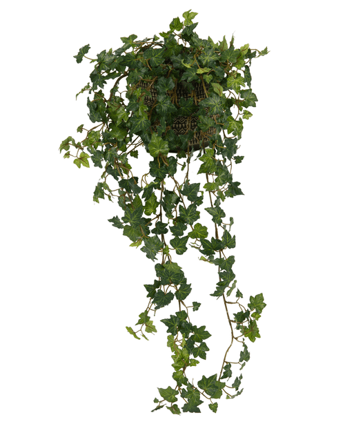 La Hiedra Artificial Deluxe Verde de 90 cm es una cesta colgante con exuberantes enredaderas de hiedra verdes que caen elegantemente en cascada sobre un fondo blanco.