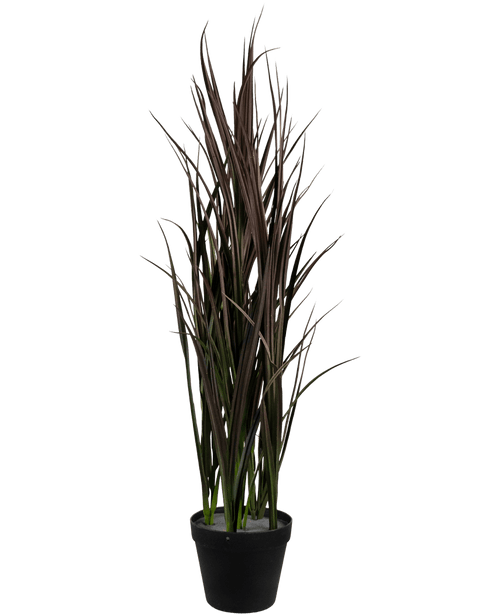 El Césped Artificial Burdeos UV 90 cm es una planta artificial alta con hojas largas y estrechas de color verde oscuro y marrón que se encuentran verticalmente en una maceta negra, sobre un fondo blanco liso.