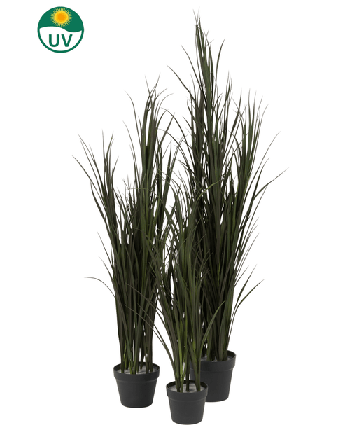 Tres plantas de césped artificial Artificial Grass Bordeaux UV de 90 cm en macetas negras están agrupadas, con un símbolo de protección UV en la esquina superior izquierda para indicar que son aptas para el sol. El fondo es completamente blanco.