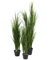 Cuatro plantas de césped artificial Artificial Grass Green UV en una maceta de 120 cm con hojas verdes largas y delgadas se agrupan sobre un fondo blanco.