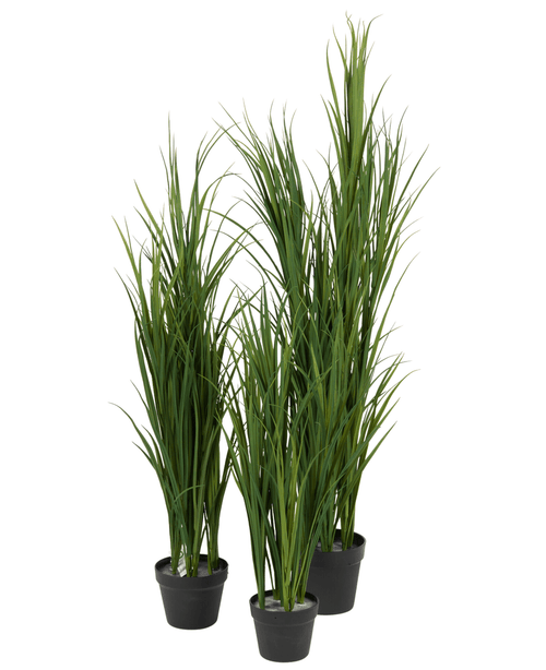 Cuatro plantas artificiales de césped artificial verde UV de 150 cm, cada una en una maceta negra, tienen hojas verdes altas, delgadas y verticales y están muy juntas sobre un fondo blanco.
