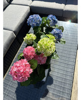 La planta Hortensia Artificial Verde UV 35 cm se encuentra sobre una mesa de mimbre con tapa de cristal junto a un sofá de exterior gris, con hortensias verdes realistas que se iluminan con la luz del sol.