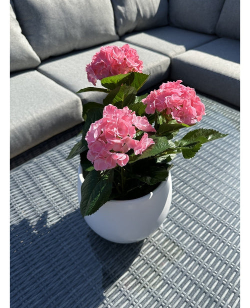 La Planta Artificial Hortensia Rosa UV 35 cm, una maceta blanca con flores de hortensias de color rosa vibrante, se alza sobre una mesa de exterior tejida en gris con un sofá gris con cojines al fondo, iluminada por la luz del sol y sombras suaves.