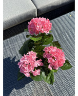 La Planta Artificial Hortensia Rosa UV 35 cm, con tres flores de hortensias rosas y hojas verdes, se encuentra sobre una mesa de exterior tejida en gris, con un sofá gris con cojines al fondo.