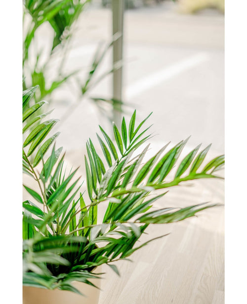 Un primer plano de hojas verdes vibrantes de Palmera Artificial UV de 60 cm en un espacio interior iluminado por el sol con un piso de madera clara y un fondo borroso, resaltando la belleza de esta planta artificial realista.
