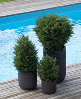 Tres plantas artificiales Conifer deluxe UV de 60 cm en maceteros acanalados negros aportan verdor a su terraza de madera junto a la piscina azul: ideal para un jardín verde con plantas artificiales elegantes y resistentes a la intemperie en el exterior.