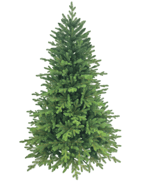 El Árbol de Navidad Artificial "Ibsen" PE/PVC es lleno y verde con ramas densas sobre un fondo blanco liso, listo para sus decoraciones navideñas favoritas.