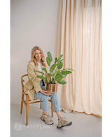 Una mujer sonriente sentada en una silla de madera con la Planta Artificial Calathea Makoyana de 60 cm en una maceta de diseño. Lleva una chaqueta beige, vaqueros claros y zapatillas de deporte. Las cortinas claras del fondo realzan el aspecto minimalista y luminoso de la habitación.