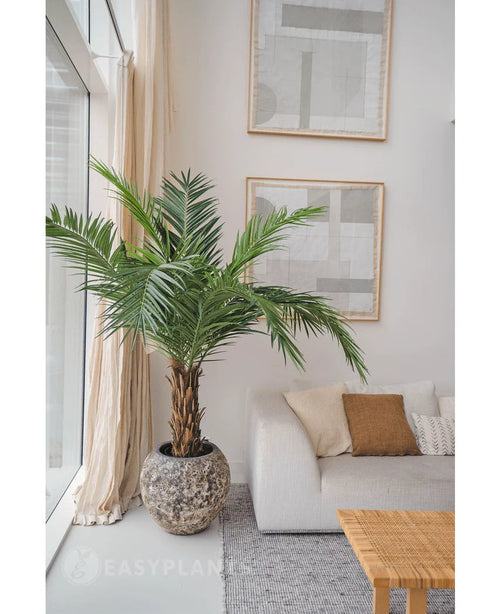 La Palmera Artificial Phoenix Canarie de 160 cm añade un ambiente tropical junto a un sofá luminoso con cojines neutros en un salón moderno con arte abstracto, cortinas transparentes y una mesa de centro tejida.