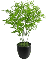 La planta artificial Espárragos de 59 cm tiene hojas verdes exuberantes y delicadas en una elegante maceta negra, sobre un fondo blanco fresco.