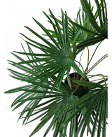 Vista superior de la planta artificial Baby Palm Fan en maceta UV 50 cm, con exuberantes hojas verdes en forma de abanico que irradian de elegantes macetas decorativas sobre un fondo blanco.