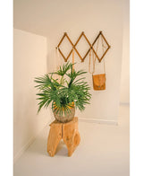 La planta artificial Baby Palm Fan en maceta UV 50 cm se coloca sobre un taburete de madera en una habitación minimalista. Detrás de él, un estante de pared marrón estilo acordeón exhibe bolsos de cuero marrón y tostado contra una pared blanca y nítida.