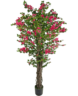 La buganvilla artificial de 180 cm es una planta artificial alta con tallos retorcidos de color marrón, hojas de un verde vibrante y ramos de flores de color rosa brillante en una maceta.