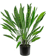La Planta Artificial Calathea 60 cm es una planta artificial alta con muchas hojas verdes largas y estrechas con patrones claros y oscuros, dispuestas en una sencilla maceta negra sobre un fondo blanco.