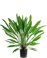 Planta artificial Calathea 85 cm: una exuberante planta de interior en maceta de color verde con hojas verticales largas y delgadas en una maceta negra, aislada sobre blanco.