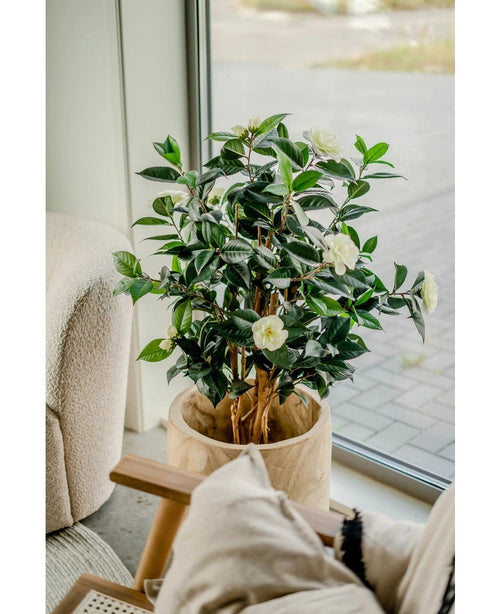 La Planta Artificial Camellia japonica de 100 cm, con hojas de color verde oscuro y flores blancas, se encuentra junto a un gran ventanal junto a una silla con cojines y cojines beige.