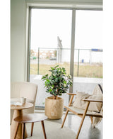 La Planta Artificial Camellia japonica 100 cm con hojas verdes y blancas se encuentra entre un sillón beige y una silla de madera con cojines, junto a una mesa auxiliar redonda, frente a grandes puertas de cristal que dan a una zona exterior.