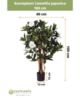 Planta artificial Camellia japonica de 100 cm de alto y 40 cm de ancho, suministrada en maceta negra de 13x12 cm. La rosa japonesa tiene hojas verdes y flores artificiales blancas, representadas con dimensiones.
