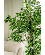 La planta artificial Ficus Tropical Liana de 180 cm, con múltiples ramas, se encuentra junto a una silla tapizada de color claro en una habitación luminosa y suavemente iluminada.