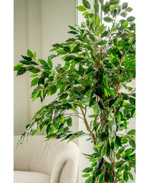 La planta artificial Ficus Tropical Liana de 180 cm, con múltiples ramas, se encuentra junto a una silla tapizada de color claro en una habitación luminosa y suavemente iluminada.