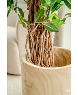 Primer plano del tronco trenzado marrón y hojas verdes de Planta Artificial Ficus Tropical Liana 180 cm en macetero de madera lisa y clara. Una silla tapizada en beige se desvanece en el fondo, resaltando los detalles realistas y la vibrante vegetación de esta gran planta artificial.