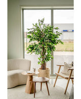 Un acogedor rincón del salón con una planta artificial Ficus Tropical Liana de 180 cm junto a la ventana, un suave sillón blanco, una silla de madera con cojín y dos mesitas redondas de madera con tazas y una jarra.
