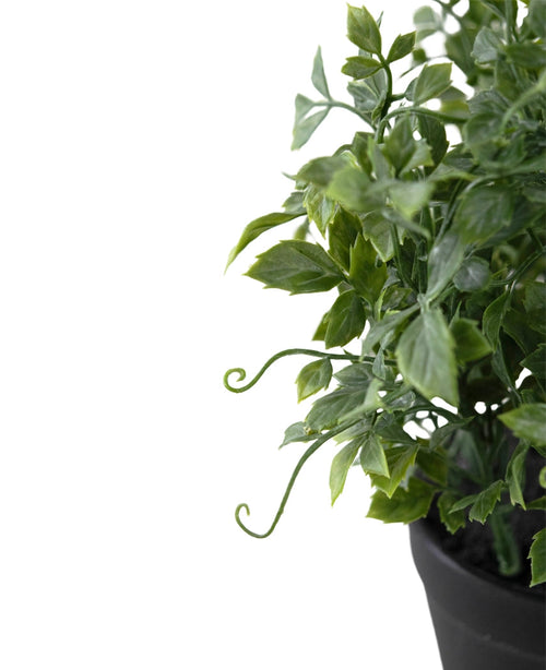 Primer plano de Planta Artificial Uva de 25 cm, una planta artificial de hoja verde con zarcillos rizados en una maceta negra, sobre un fondo blanco. La atención se centra en las hojas y tallos estructurados; sólo se ve una parte de la maceta y la planta.