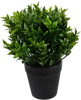 La Planta Artificial Verde de 20 cm en maceta es una planta artificial de color verde exuberante con pequeñas hojas puntiagudas en una sencilla maceta negra, perfecta para añadir un verdor vibrante a tu espacio.