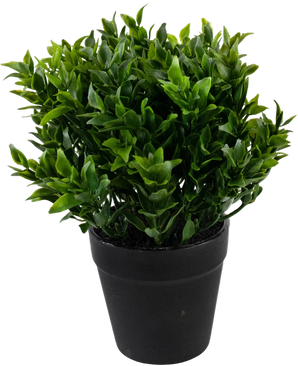 La Planta Artificial Verde de 20 cm en maceta es una planta artificial de color verde exuberante con pequeñas hojas puntiagudas en una sencilla maceta negra, perfecta para añadir un verdor vibrante a tu espacio.