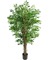 La planta artificial Ficus Liana hawaiana (150 cm) tiene exuberantes hojas verdes y múltiples tallos marrones retorcidos en una pequeña maceta negra, sobre un fondo blanco liso.