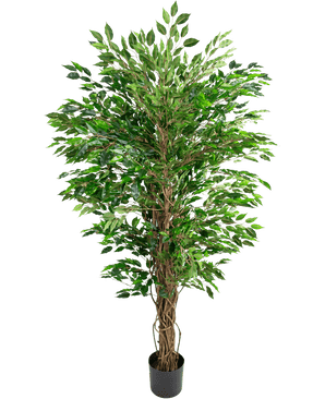 La planta artificial Ficus Liana hawaiana (150 cm) tiene exuberantes hojas verdes y múltiples tallos marrones retorcidos en una pequeña maceta negra, sobre un fondo blanco liso.