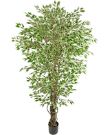 La Planta Artificial Ficus Liana Hawaiana de 180 cm es un árbol artificial alto con hojas de colores verdes y blancos en una maceta negra, sobre un fondo blanco liso.