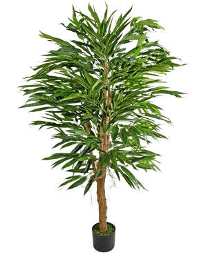 La Planta Artificial Longfolia 150 cm es un bambú artificial alto con múltiples tallos marrones y hojas verdes largas y estrechas, presentado en una pequeña maceta negra sobre un fondo blanco liso.