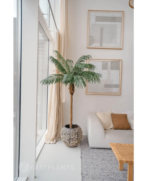 La Planta Artificial Phoenix Palm De Luxe 180 cm en maceta estructurada se coloca junto a grandes ventanales en un luminoso salón con mobiliario neutro, con un sofá blanco, cojines beige, una mesa de madera y arte abstracto en la pared.