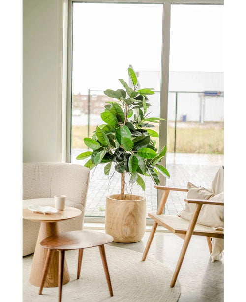 Habitación luminosa y moderna con grandes ventanales, planta artificial de caucho de 150 cm con hojas de color verde oscuro en una maceta decorativa sobre una alfombra redonda clara, un sillón beige, una mesa auxiliar de madera con taza y plato y una silla de madera con cojín.