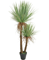 La planta Yucca Artificial Deluxe de 153 cm tiene dos troncos altos de color marrón con textura y manojos de hojas verdes largas y puntiagudas y algunas hojas inferiores secas sobre un fondo blanco.