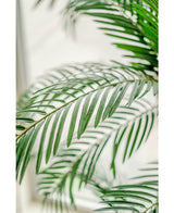 Palmera Cica Classic 135 cm