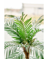 Palmera Cica Classic 135 cm