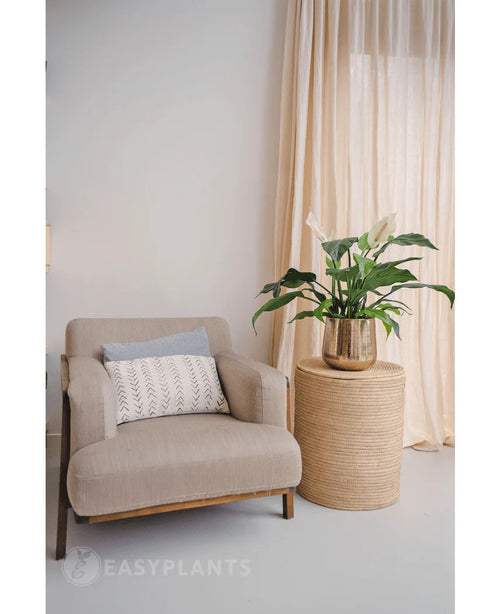 Un sillón beige con un cojín decorativo se encuentra junto a una mesa auxiliar redonda de mimbre con la planta artificial Spathiphyllum blanca de 85 cm. Unas cortinas claras al fondo completan este interior tranquilo y moderno.