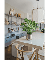 Planta artificial Dieffenbachia 75 cm
