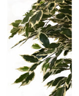 Planta artificial Ficus Fur 150 cm
