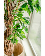Planta artificial Ficus Tropical Liana 180 cm