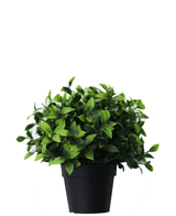 Planta artificial Photonia en maceta 22 cm UV