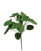 Planta artificial Pilea Pancake 50 cm