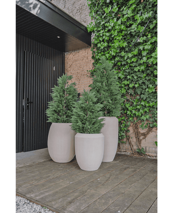 Planta artificial Pino Conífera deluxe 150 cm UV